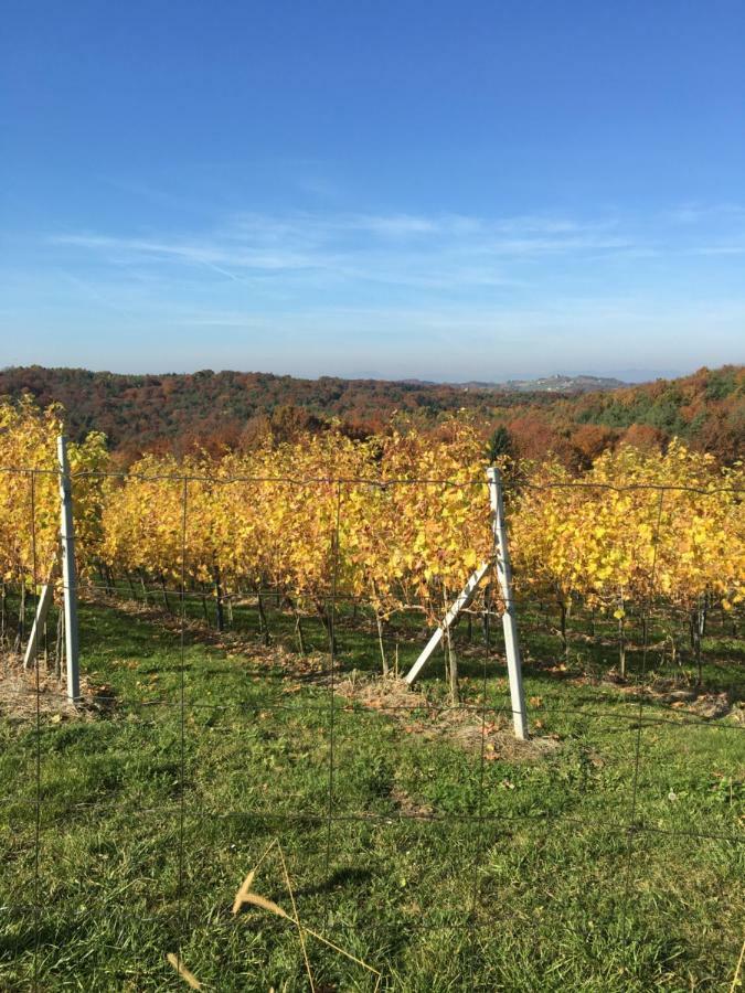 Riegler'S Buschenschank Lägenhet Fürstenfeld Exteriör bild