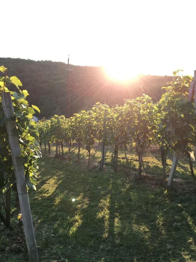 Riegler'S Buschenschank Lägenhet Fürstenfeld Exteriör bild